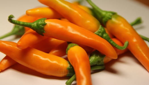 Bulgarian Carrot