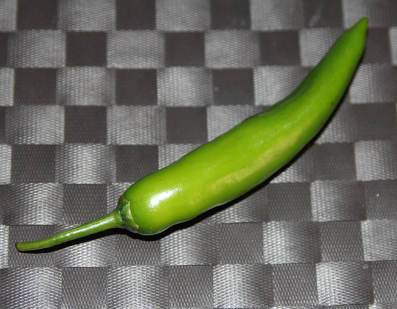 guindilla peperoncino