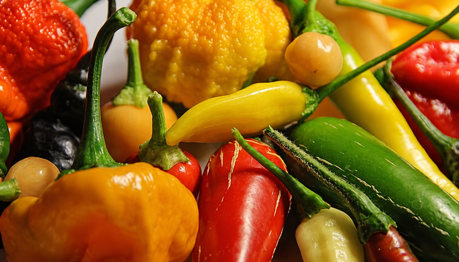 peperoncini colorati concimazione