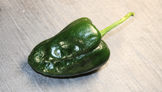 Poblano