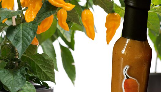 Salsa di Fatalii Yellow CaJohn’s